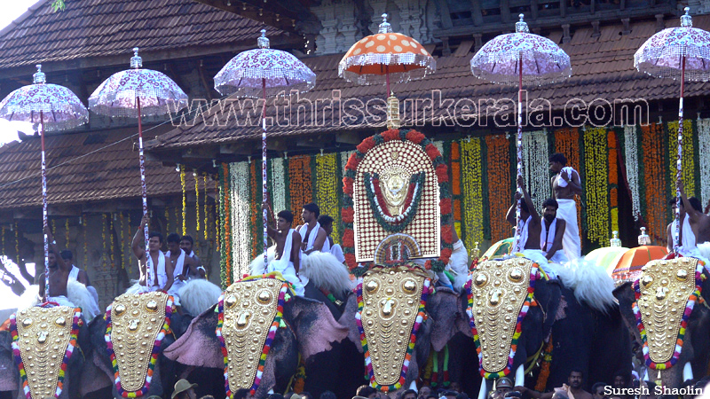 thrissur-pooram-2011- (91)